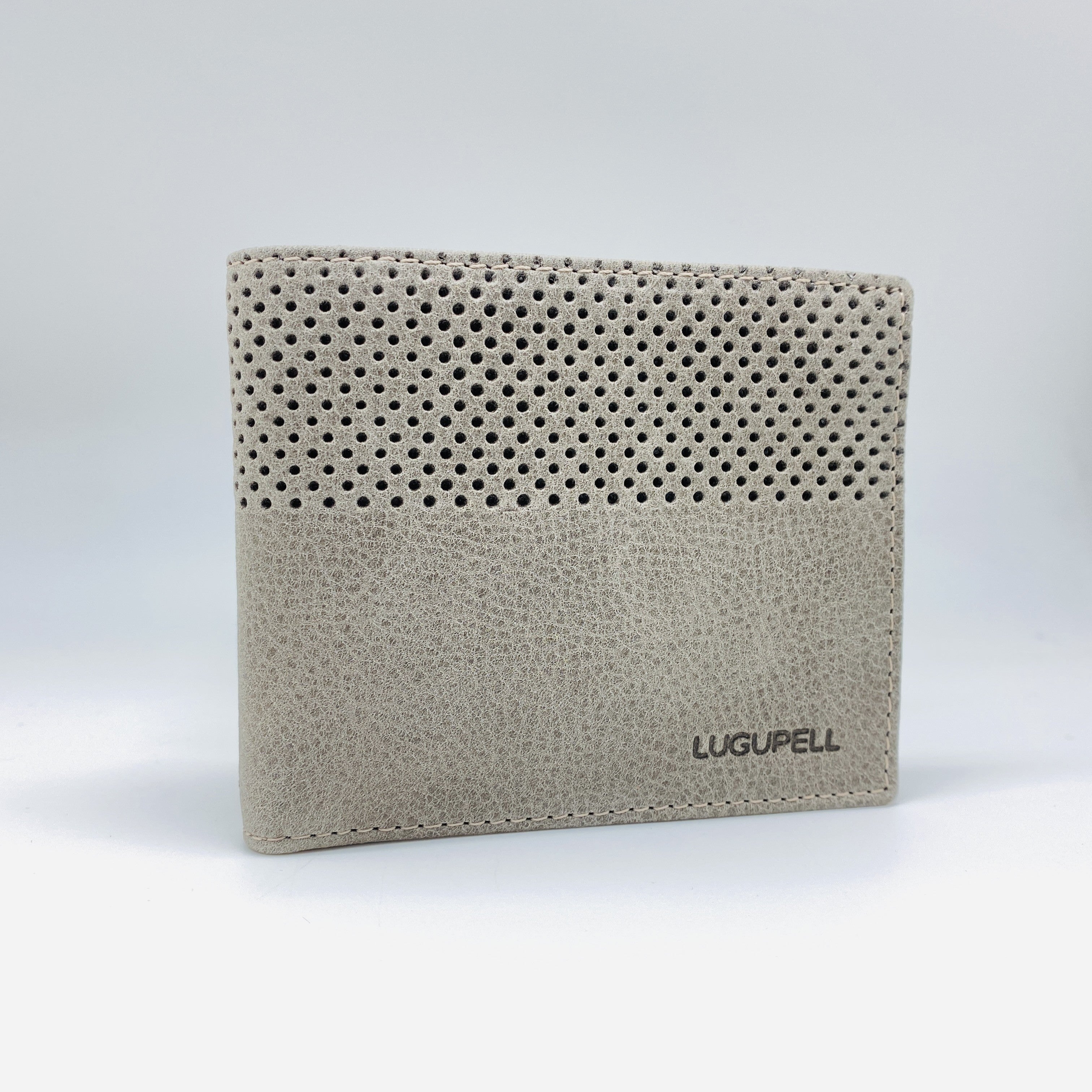 40484 ARIZONA - CARTERA LUGUPELL