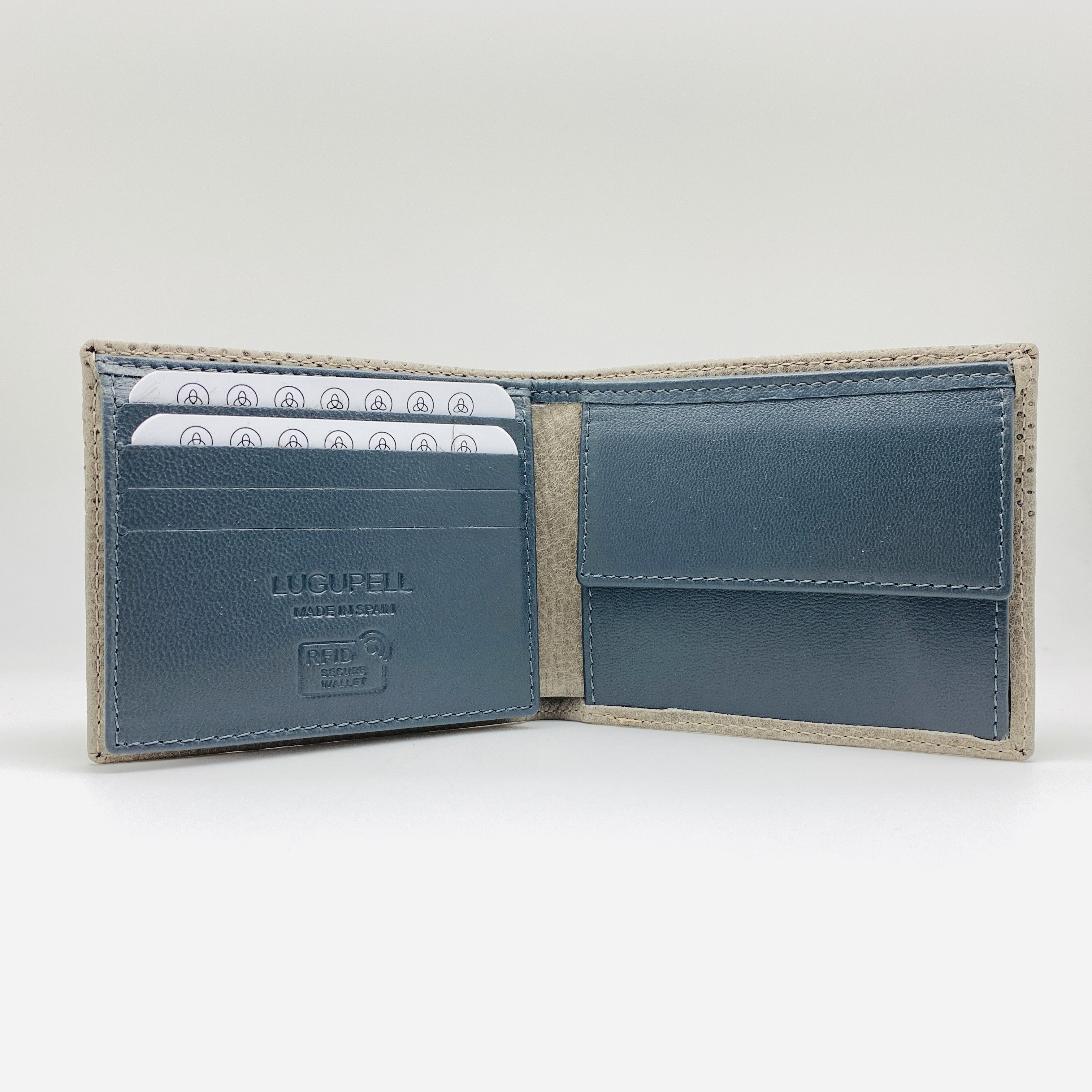 40484 ARIZONA - CARTERA LUGUPELL