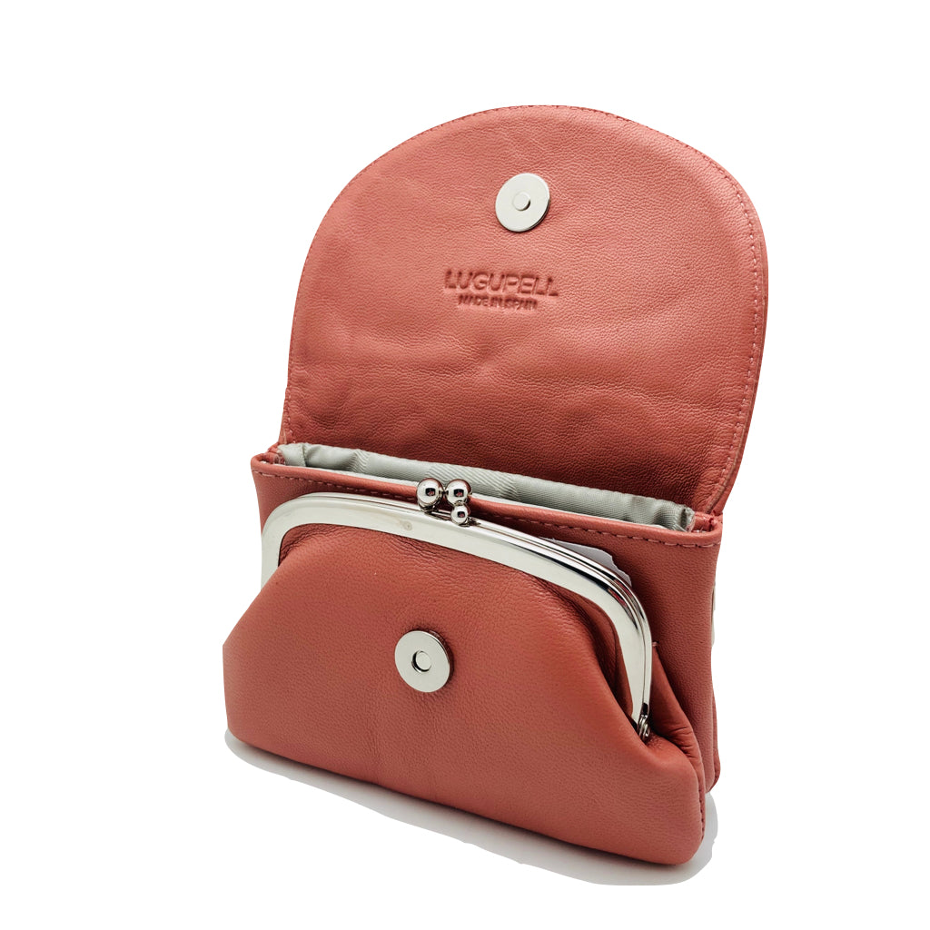 N428 -70 - SALMON MONEDERO LUGUPELL