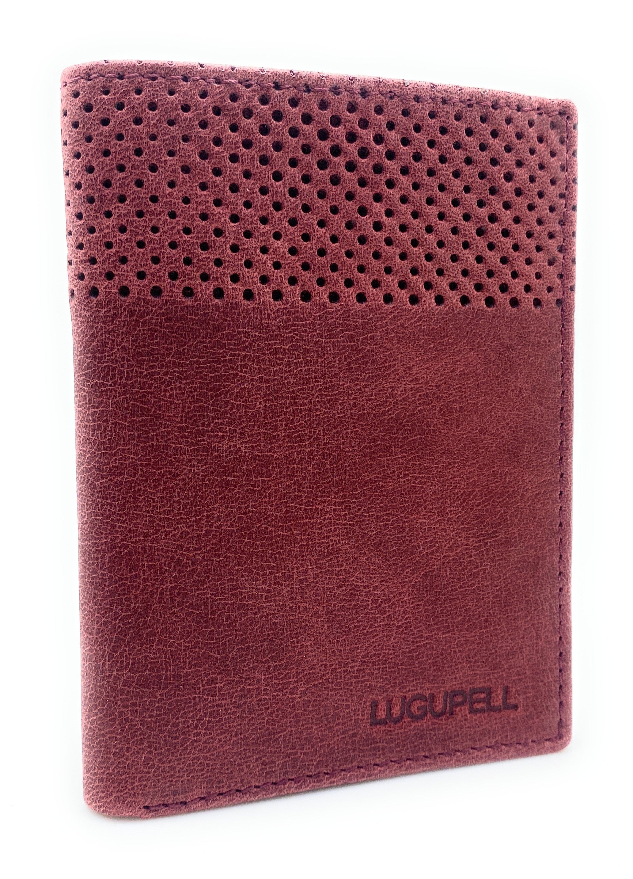 40480 ARIZONA - CARTERA LUGUPELL