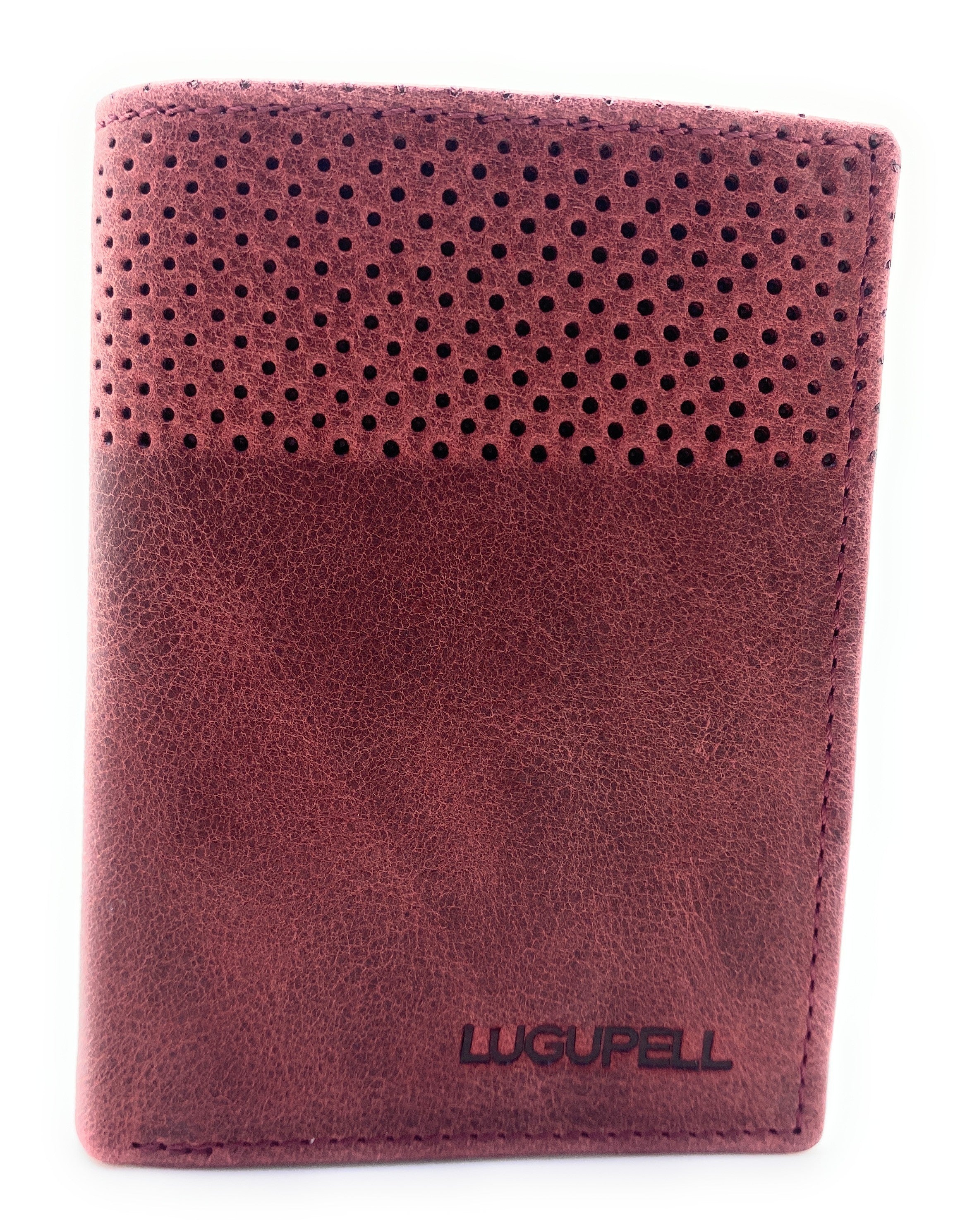 40482 ARIZONA - CARTERA LUGUPELL
