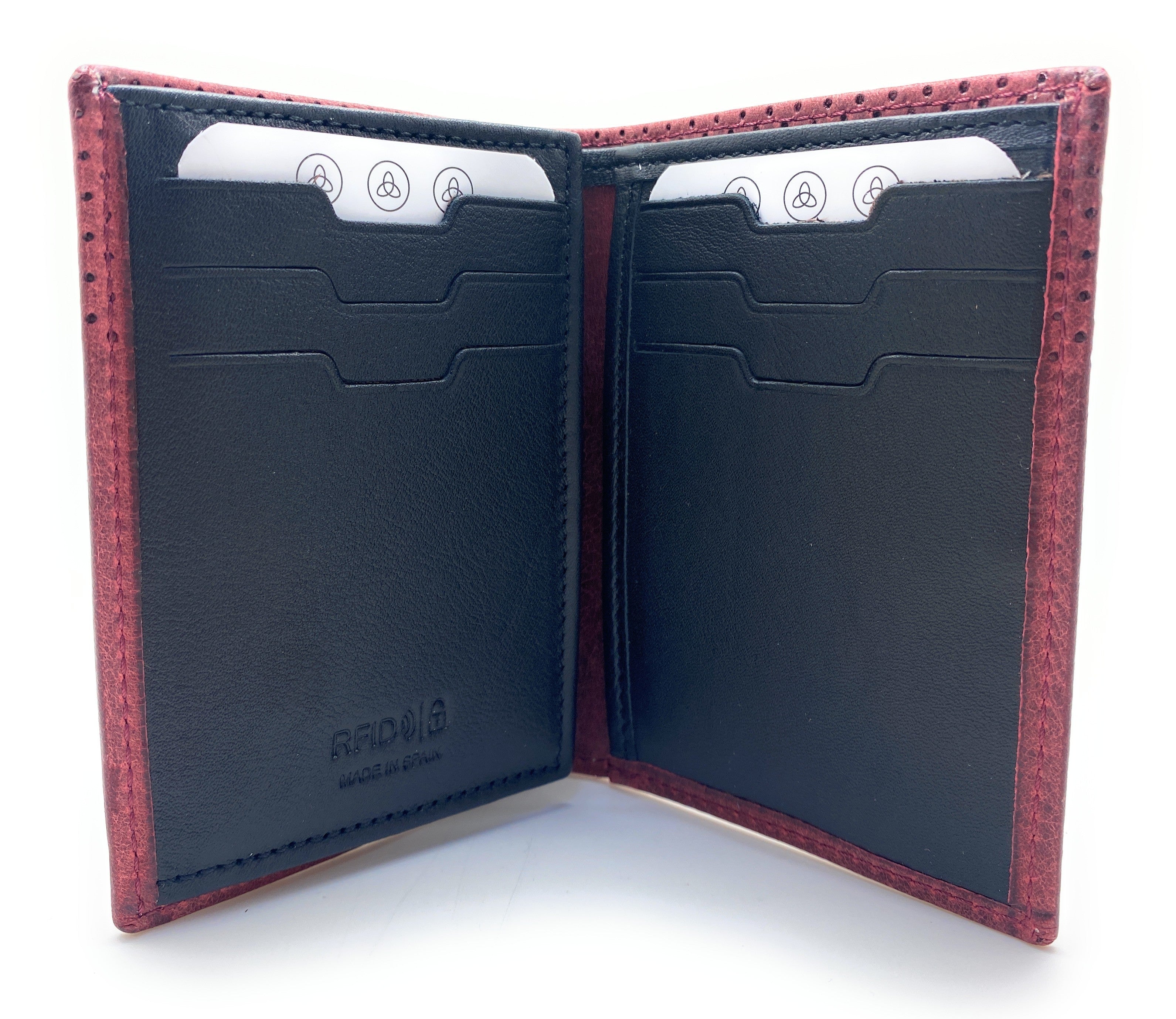 40482 ARIZONA - CARTERA LUGUPELL