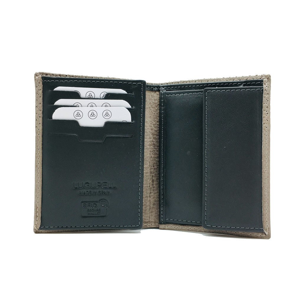 40481 ARIZONA - CARTERA LUGUPELL